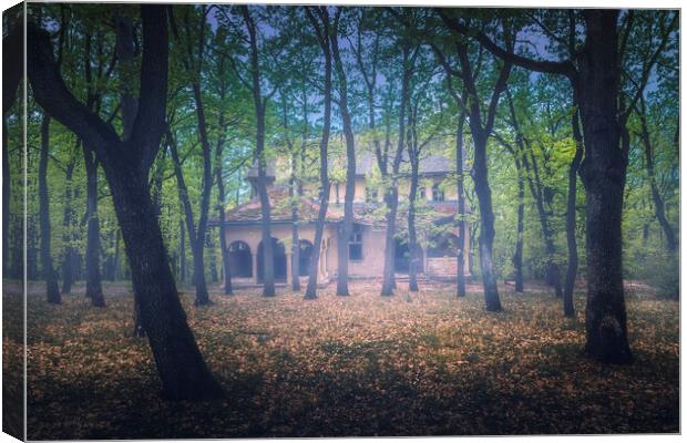 Abandoned old villa in the forest Canvas Print by Dejan Travica