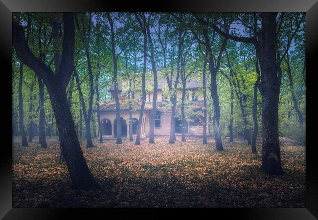 Abandoned old villa in the forest Framed Print by Dejan Travica