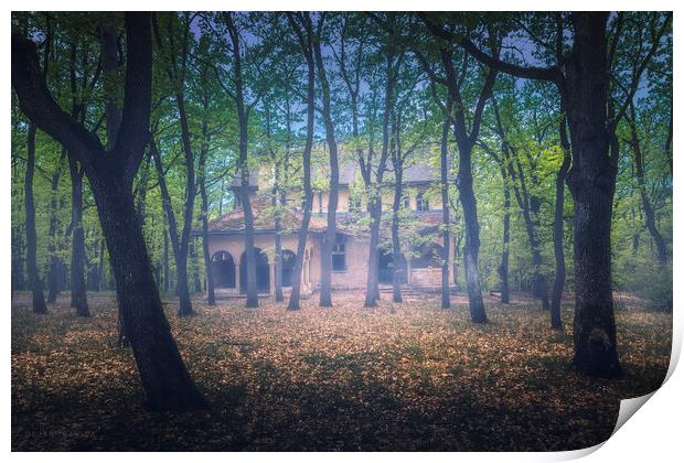 Abandoned old villa in the forest Print by Dejan Travica