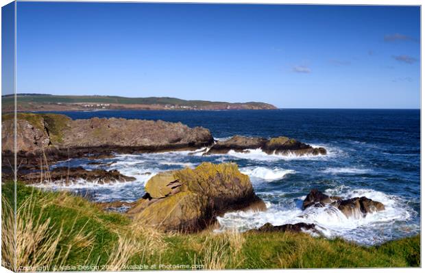 St Abbs Head from Eyemouth Canvas Print by Kasia Design