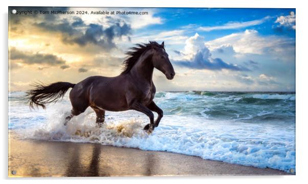 The Stallion Acrylic by Tom McPherson