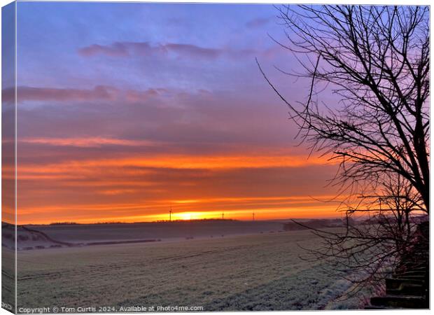 Frosty Sunrise Canvas Print by Tom Curtis