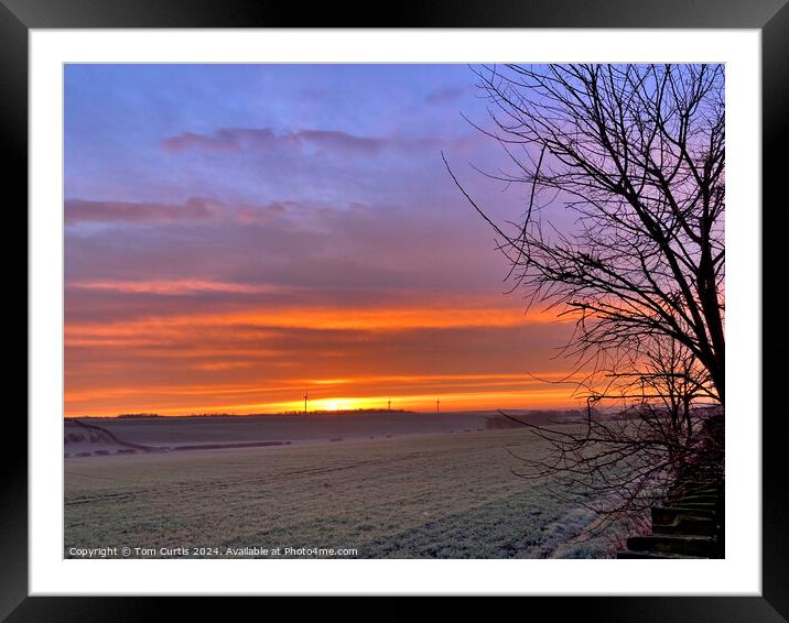 Frosty Sunrise Framed Mounted Print by Tom Curtis