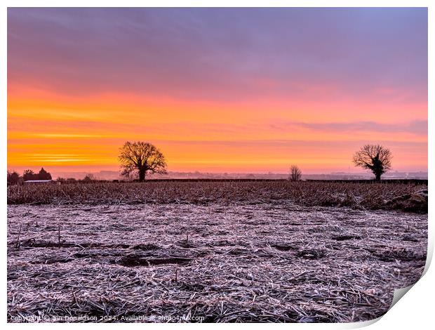 Shepherds Warning Print by Ian Donaldson