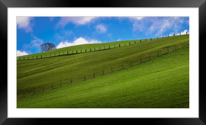 Green fields and blue sky Framed Mounted Print by Leighton Collins