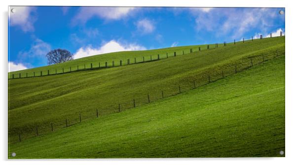 Green fields and blue sky Acrylic by Leighton Collins