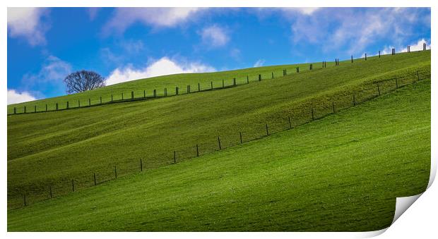 Green fields and blue sky Print by Leighton Collins