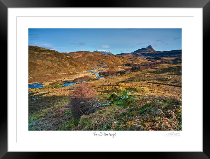 The fallen tree Assynt Framed Mounted Print by JC studios LRPS ARPS