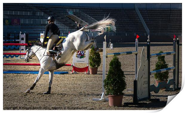Equestrian White Horse Jumping. Print by Maggie Bajada