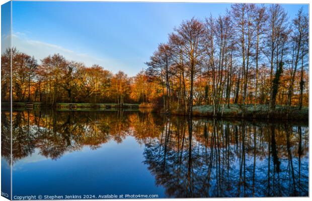 Treos pond reflections Canvas Print by Stephen Jenkins