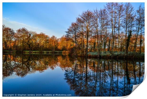 Treos pond reflections Print by Stephen Jenkins