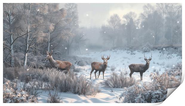 Scottish Bucks Winter Highlands Print by T2 