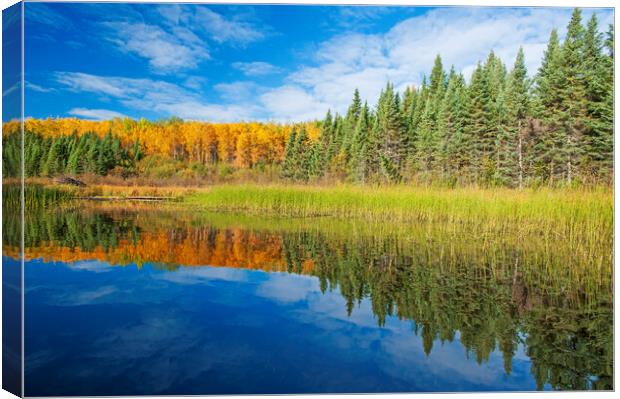 Autumn View Along lake Canvas Print by Dave Reede