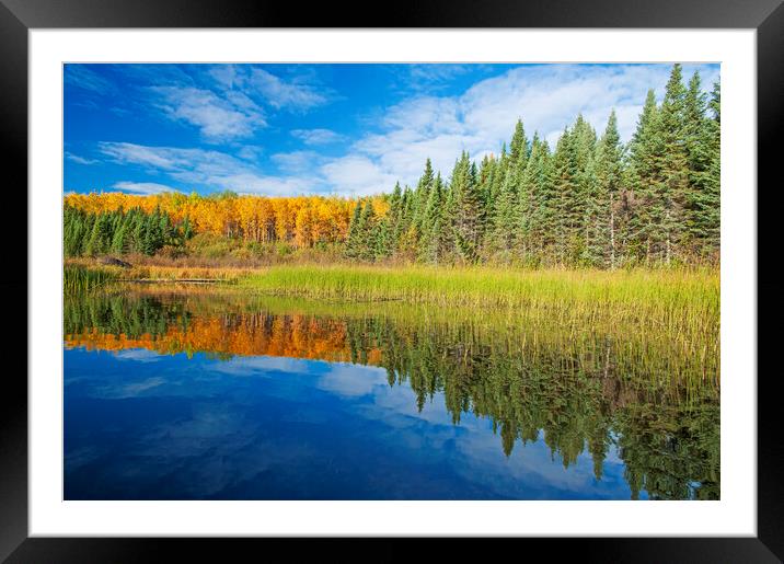 Autumn View Along lake Framed Mounted Print by Dave Reede