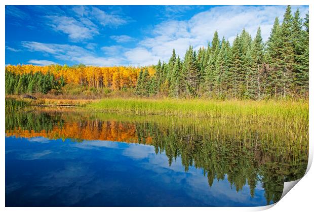 Autumn View Along lake Print by Dave Reede