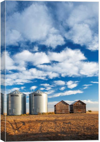 old and New Grain Bins Canvas Print by Dave Reede