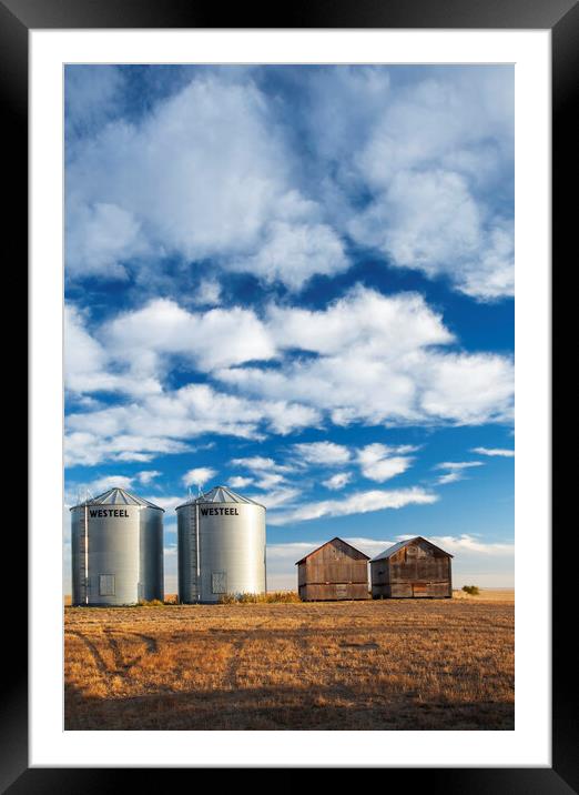 old and New Grain Bins Framed Mounted Print by Dave Reede