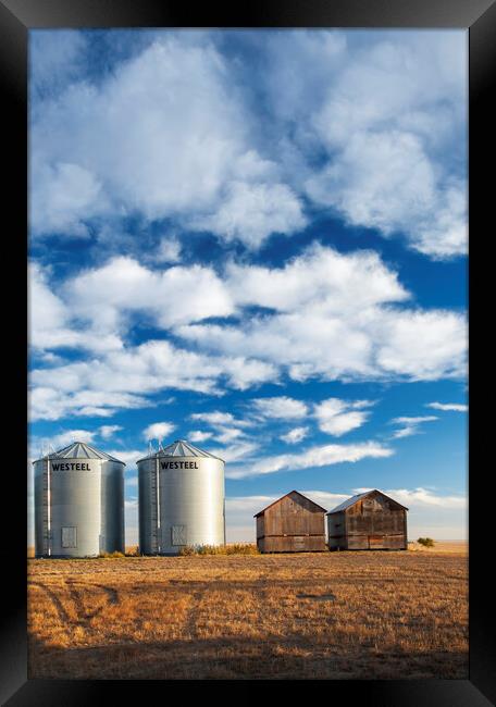 old and New Grain Bins Framed Print by Dave Reede
