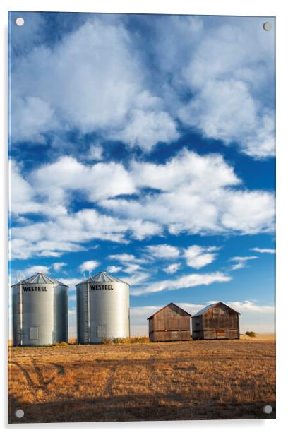 old and New Grain Bins Acrylic by Dave Reede