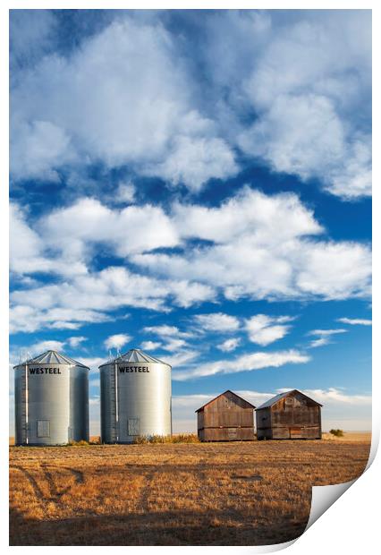 old and New Grain Bins Print by Dave Reede