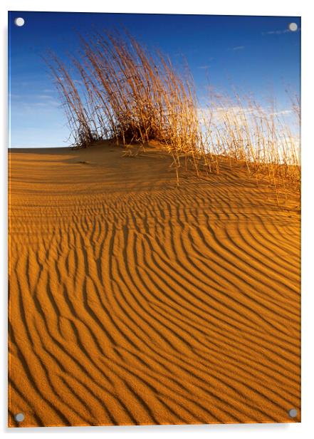 Spirit Sands Patterns Acrylic by Dave Reede