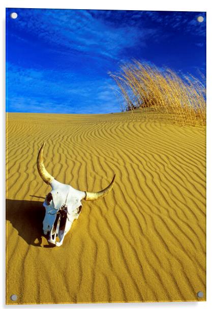 Cow Skull in the Spirit Sands Acrylic by Dave Reede