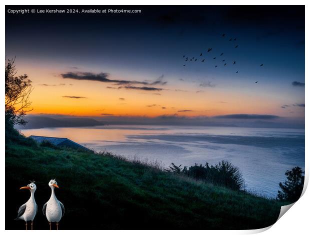 Pesky Birds Catching the Dawn at Looe Print by Lee Kershaw