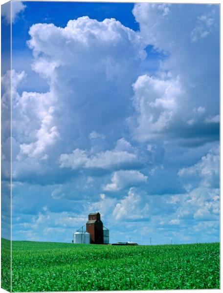 Developing Prairie Storm Canvas Print by Dave Reede