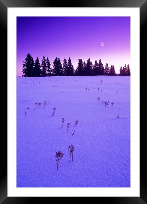 Mauve Morning Framed Mounted Print by Dave Reede
