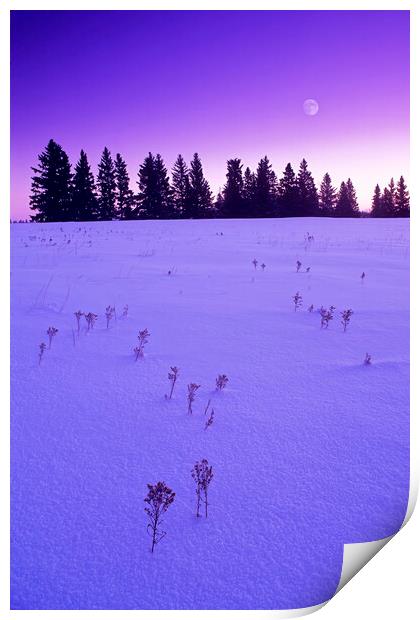 Mauve Morning Print by Dave Reede