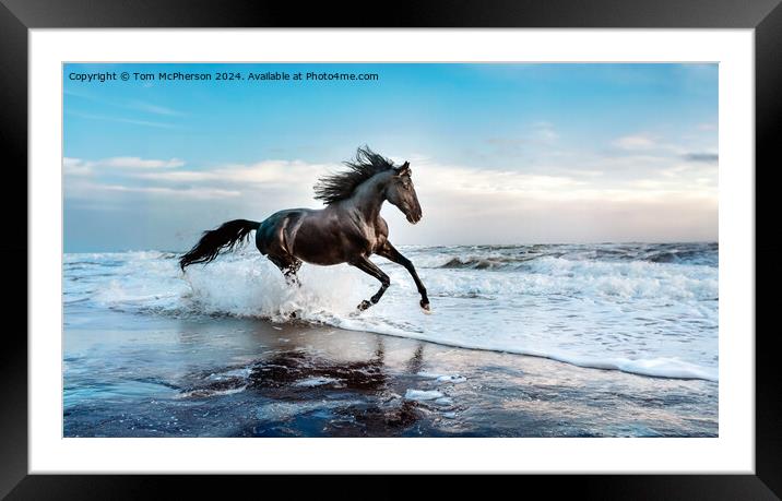 The Stallion Framed Mounted Print by Tom McPherson