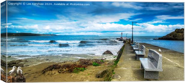 Looe Beach and Banjo Pier along with the Pesky Birds Canvas Print by Lee Kershaw