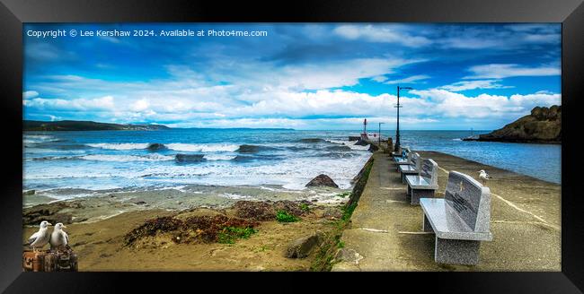 Looe Beach and Banjo Pier along with the Pesky Birds Framed Print by Lee Kershaw