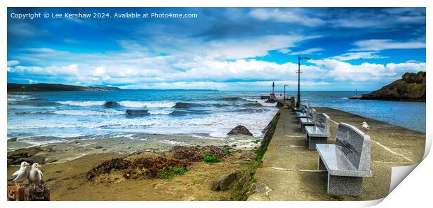 Looe Beach and Banjo Pier along with the Pesky Birds Print by Lee Kershaw