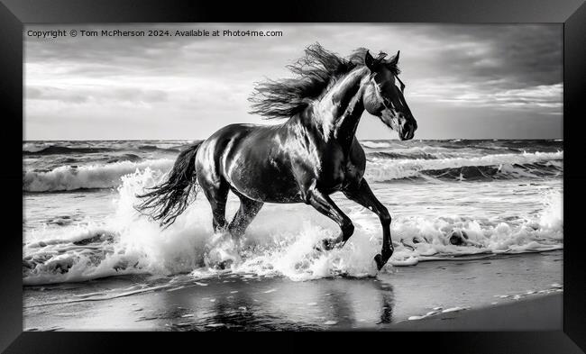 The Stallion Framed Print by Tom McPherson