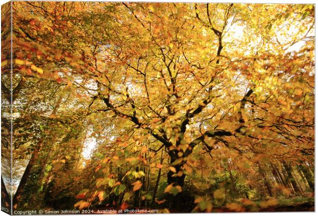 Autumnal Woodland Canvas Print by Simon Johnson