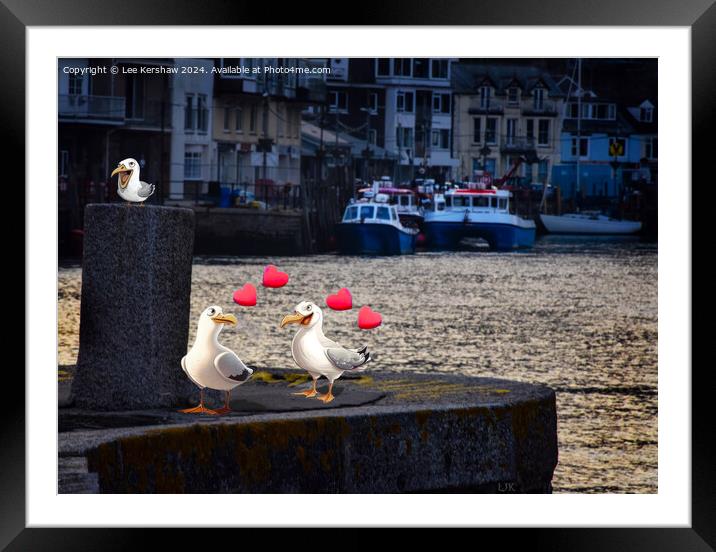 Love in Looe with the Pesky Birds Framed Mounted Print by Lee Kershaw