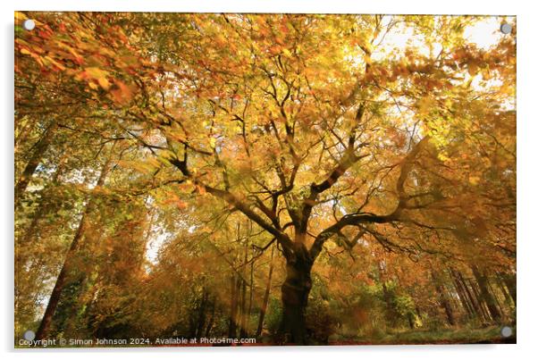 Autumnal woodland Acrylic by Simon Johnson