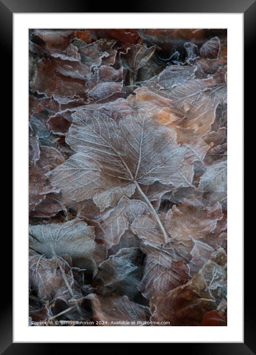 frosted leaves Framed Mounted Print by Simon Johnson