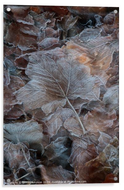 frosted leaves Acrylic by Simon Johnson