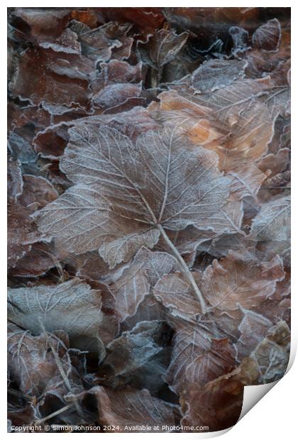 frosted leaves Print by Simon Johnson