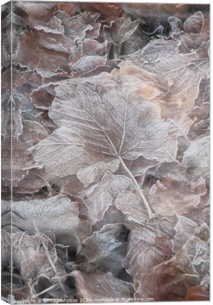 frosted leaves Canvas Print by Simon Johnson