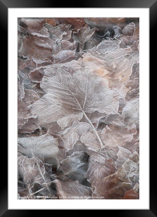 frosted leaves Framed Mounted Print by Simon Johnson