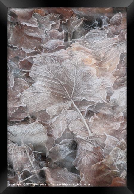 frosted leaves Framed Print by Simon Johnson