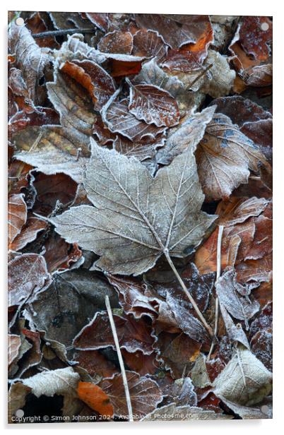 Frosted leaves Acrylic by Simon Johnson