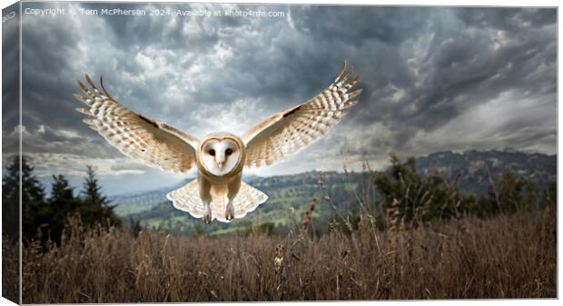 Barn Owl in Flight Canvas Print by Tom McPherson