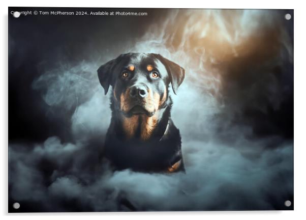 The Rottweiler  Acrylic by Tom McPherson