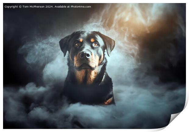 The Rottweiler  Print by Tom McPherson