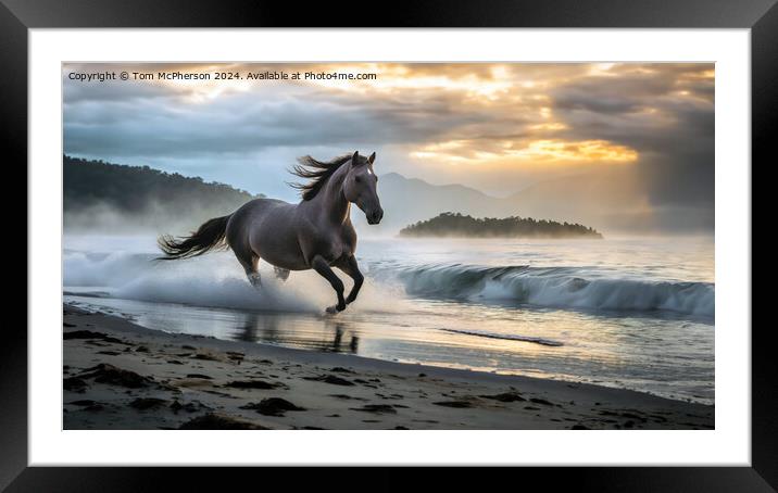 The Palamino Stallion Framed Mounted Print by Tom McPherson