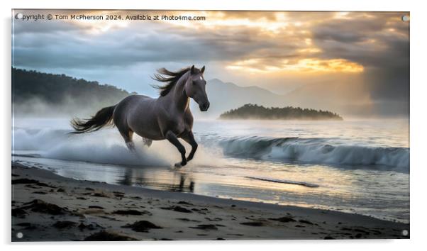 The Palamino Stallion Acrylic by Tom McPherson